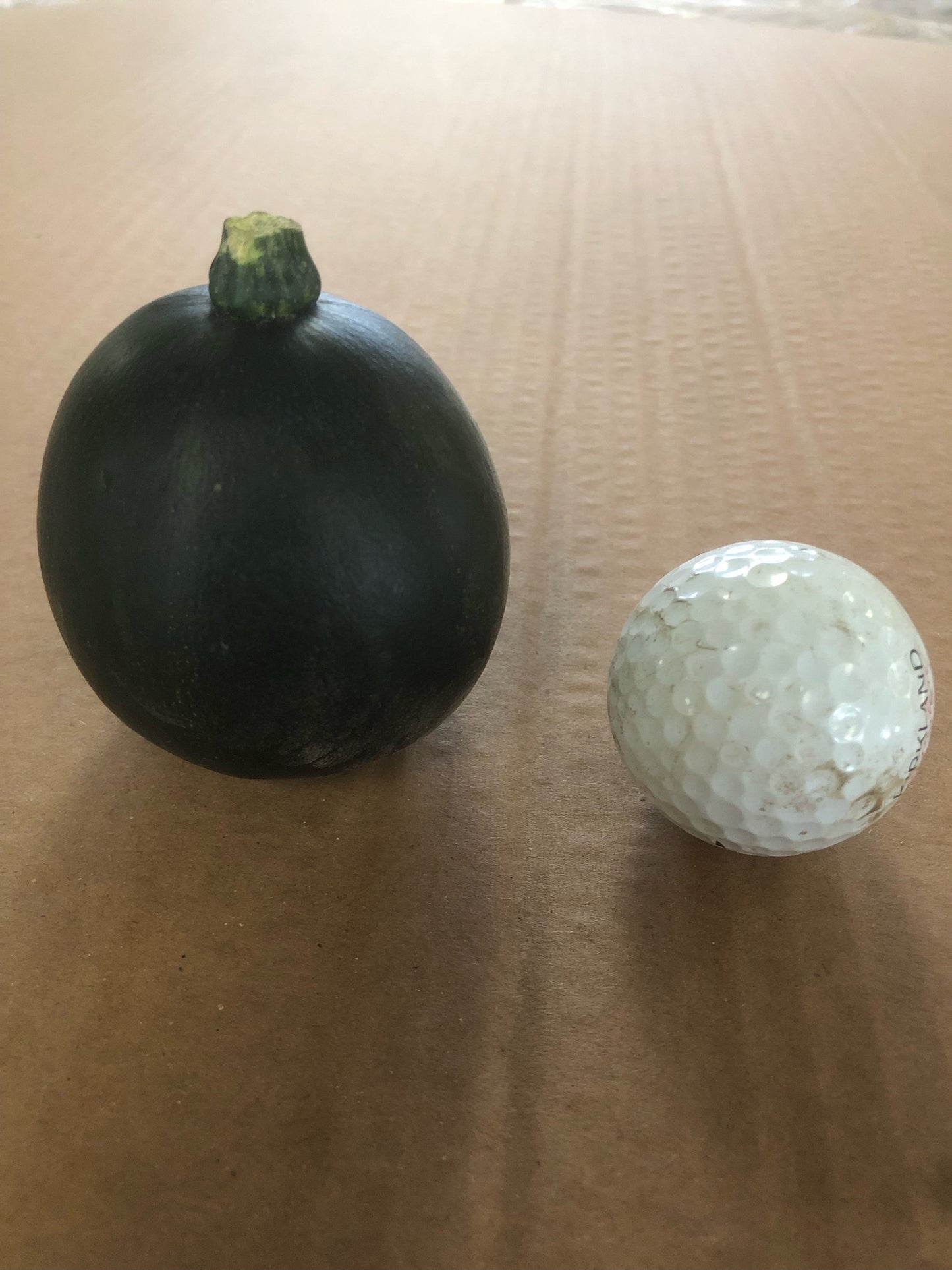 Small gem squash 10kg