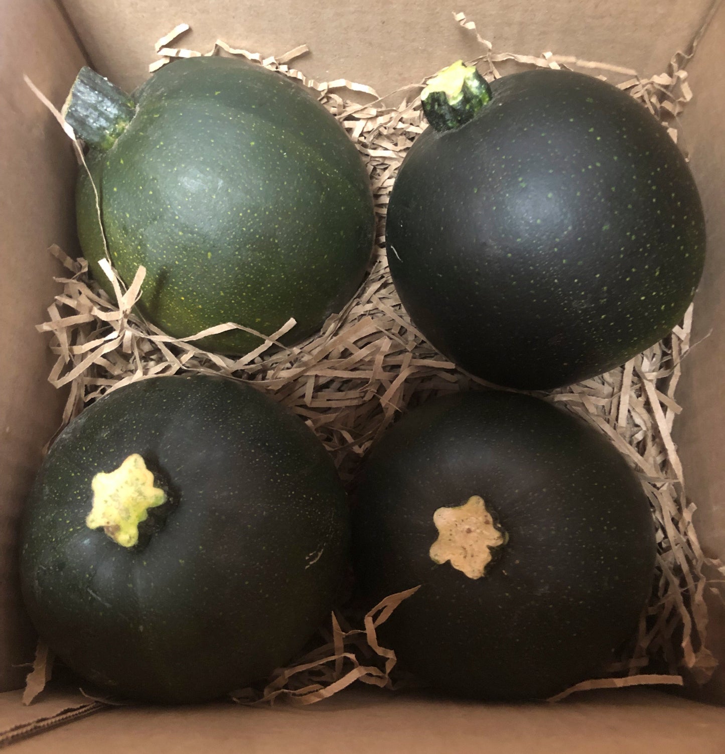4 gem squash