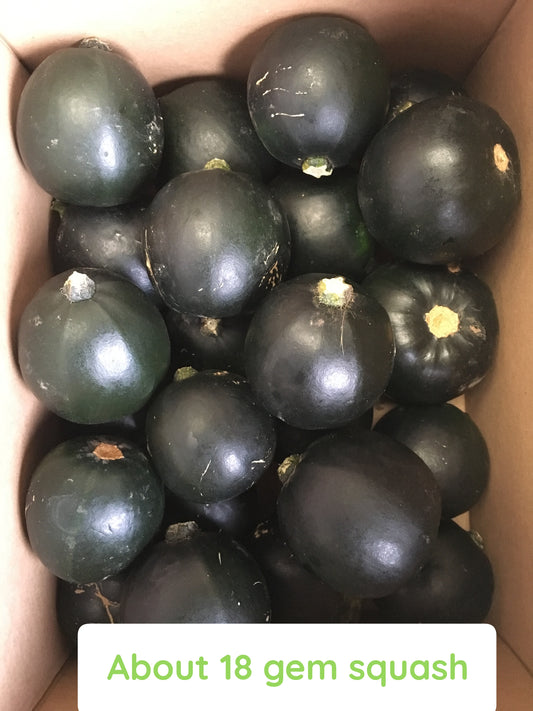 Gem Squash 5kg