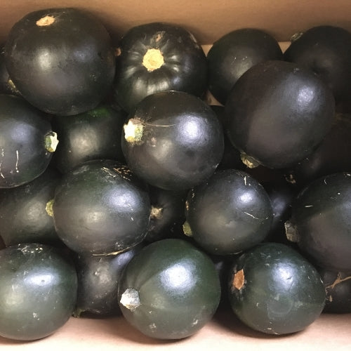 Gem squash 20kg